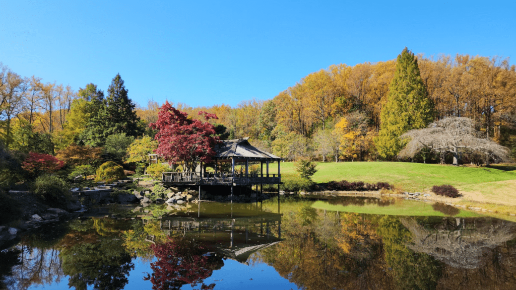 Urban Park in Kemp Mill MD - Dars Appliance Repair offers appliance repair in Kemp Mill MD