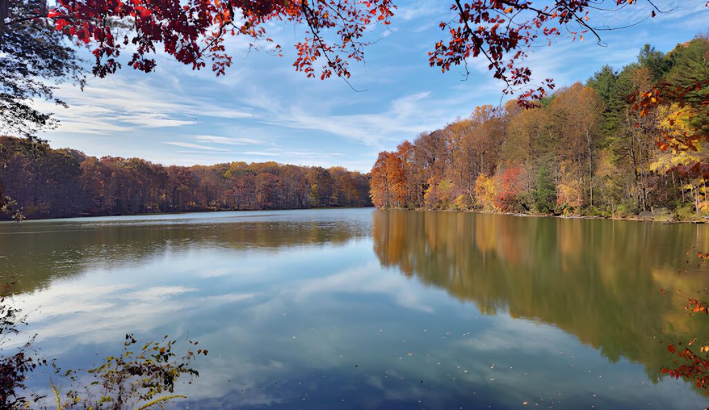 North Potomac MD Seneca Creek State Park- trusted appliance repair in North Potomac MD by Dar's
