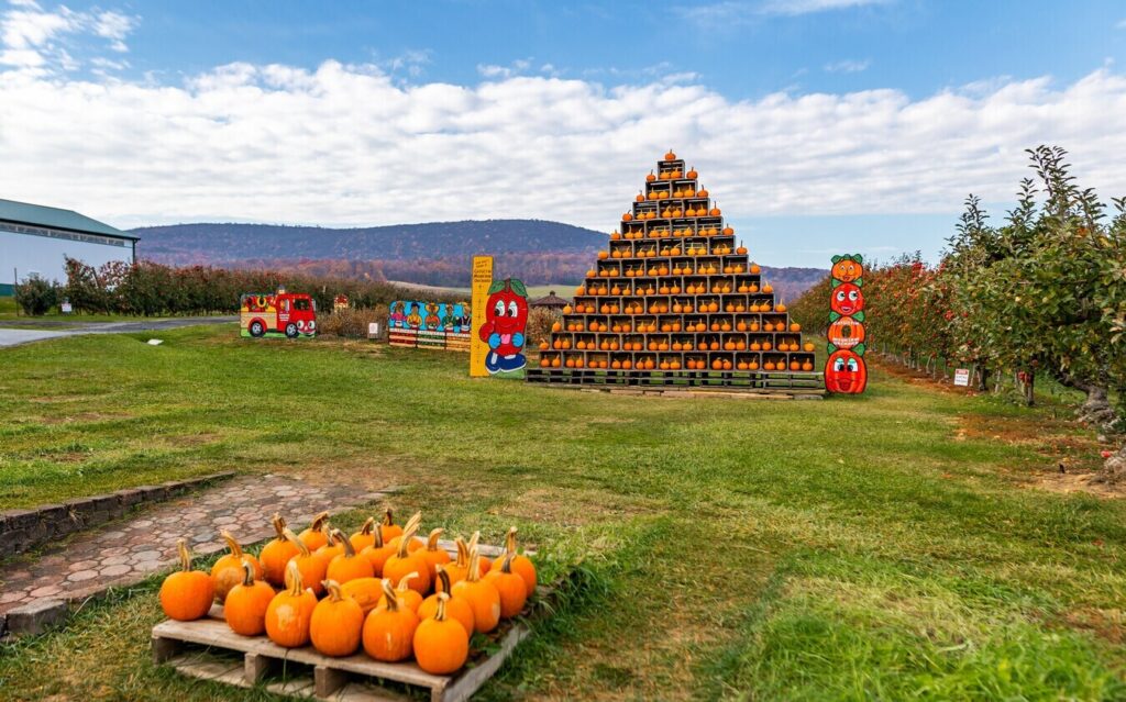 Catoctin Mountain orchard in Thurmont, MD near appliance repair in Thurmont MD