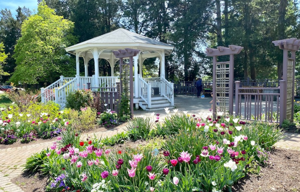Green Spring Gardens Park in Lincolnia, VA with appliance repair in Lincolnia VA